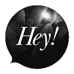 Hey!